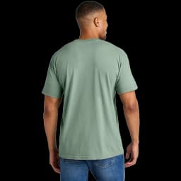 Back (Model)