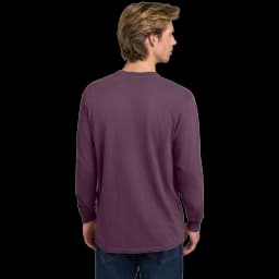 Back (Model)
