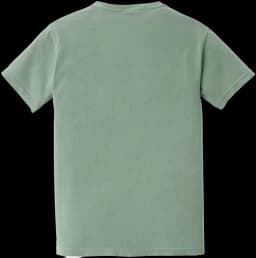 Back (Flat)