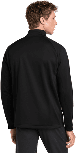 Back (Model)