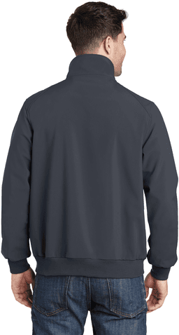 Back (Model)