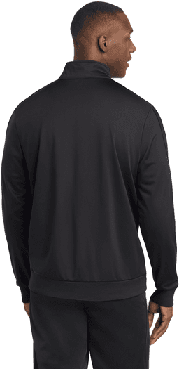 Back (Model)