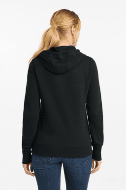 Back (Model)