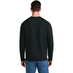 Back (Model)