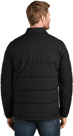 Back (Model)
