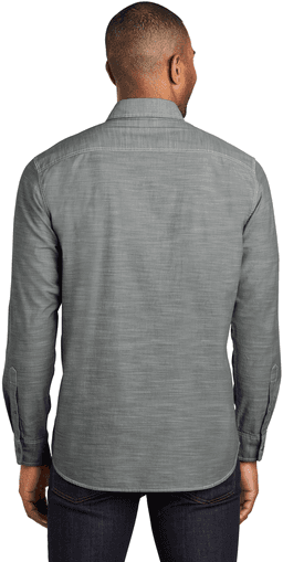 Back (Model)