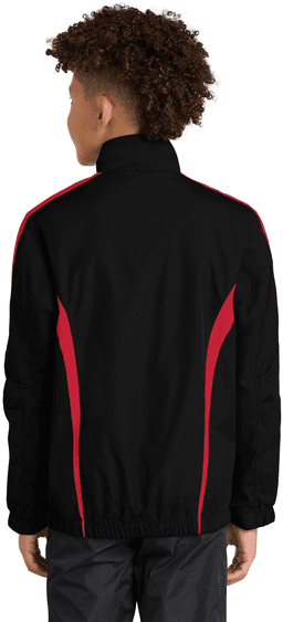 Back (Model)