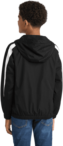 Back (Model)